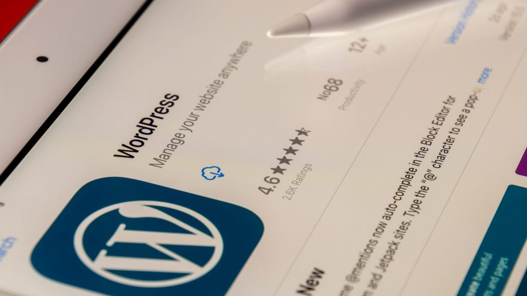 Kako bezbedno održavati WordPress sajt
